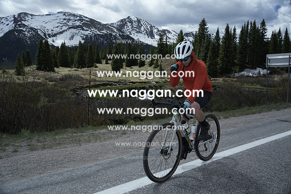DSC02291