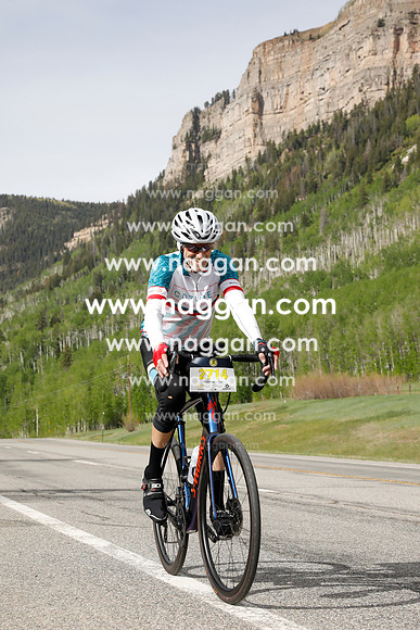 _BLB3810