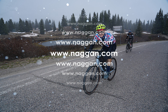 DSC07995