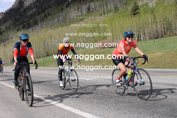 IMG_3155